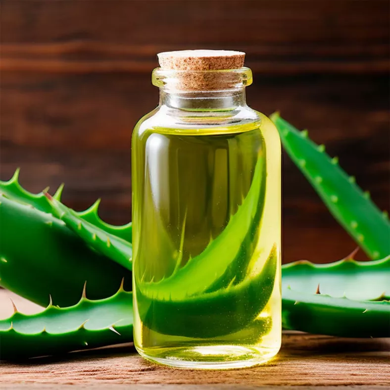 Aloe Vera Öl