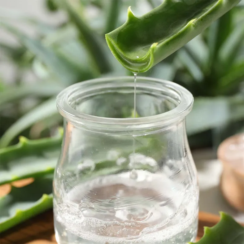 Aloe Vera Saft