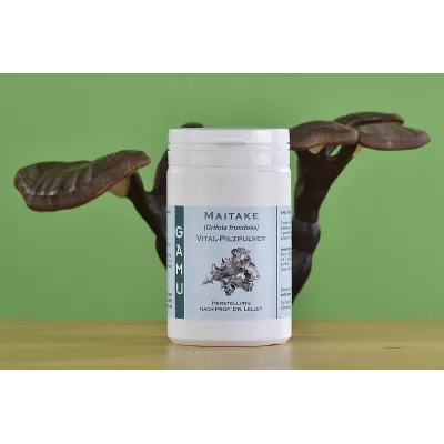 Maitake - Grifolanin® Vital Pilzpulver